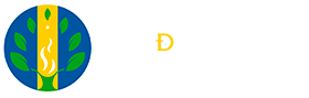 Mi Juan